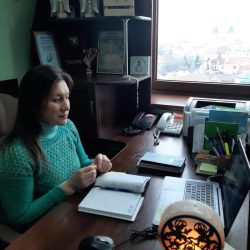 Онлайн-нарада щодо соціального захисту дітей-сиріт